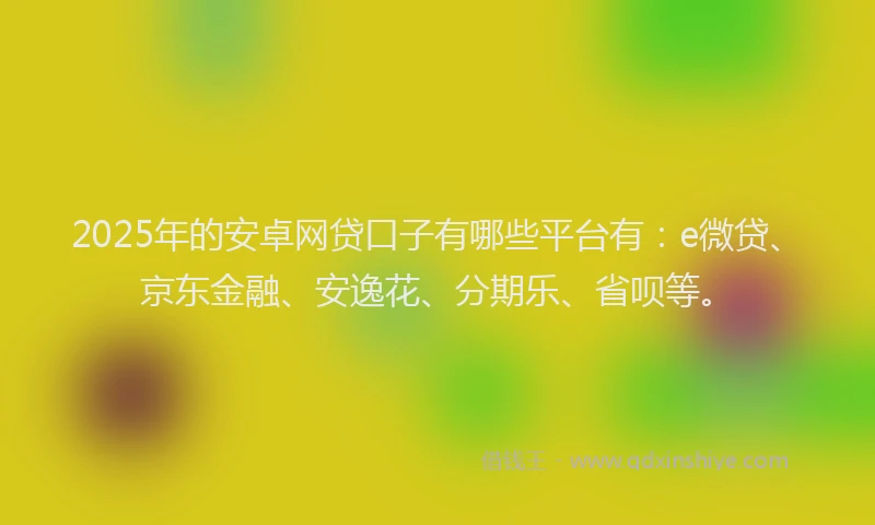 2025年的安卓网贷口子有哪些平台有：e微贷、京东金融、安逸花、分期乐、省呗等。