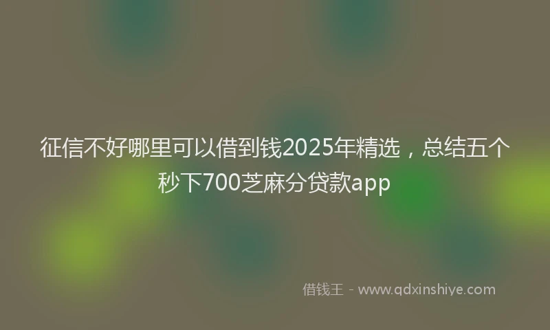 征信不好哪里可以借到钱2025年精选，总结五个秒下700芝麻分贷款app