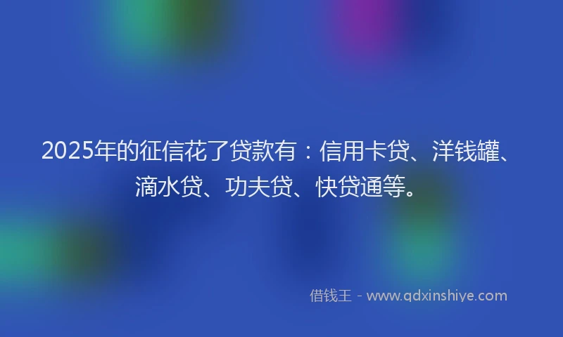 2025年的征信花了贷款有：信用卡贷、洋钱罐、滴水贷、功夫贷、快贷通等。