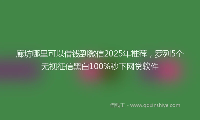 廊坊哪里可以借钱到微信2025年推荐，罗列5个无视征信黑白100%秒下网贷软件