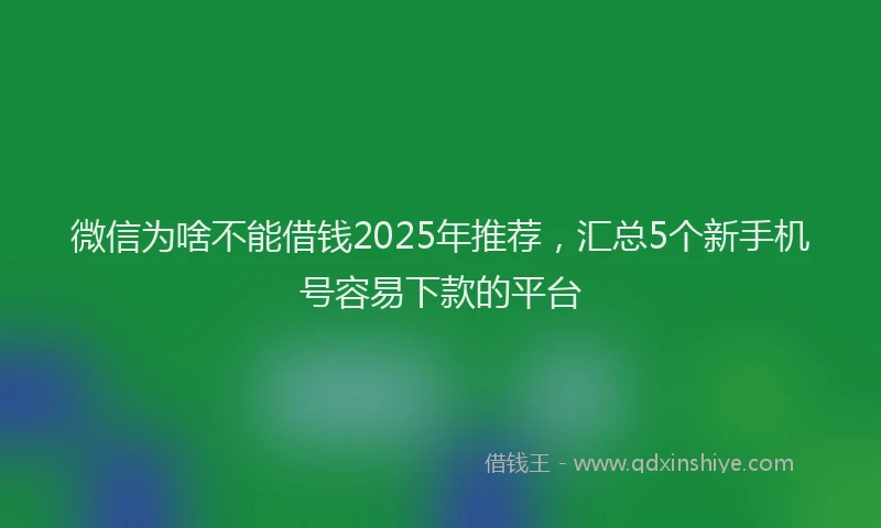 微信为啥不能借钱2025年推荐，汇总5个新手机号容易下款的平台