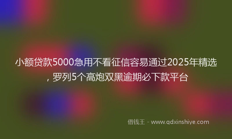 小额贷款5000急用不看征信容易通过2025年精选，罗列5个高炮双黑逾期必下款平台