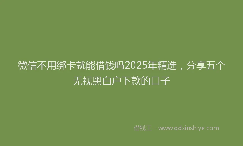 微信不用绑卡就能借钱吗2025年精选，分享五个无视黑白户下款的口子