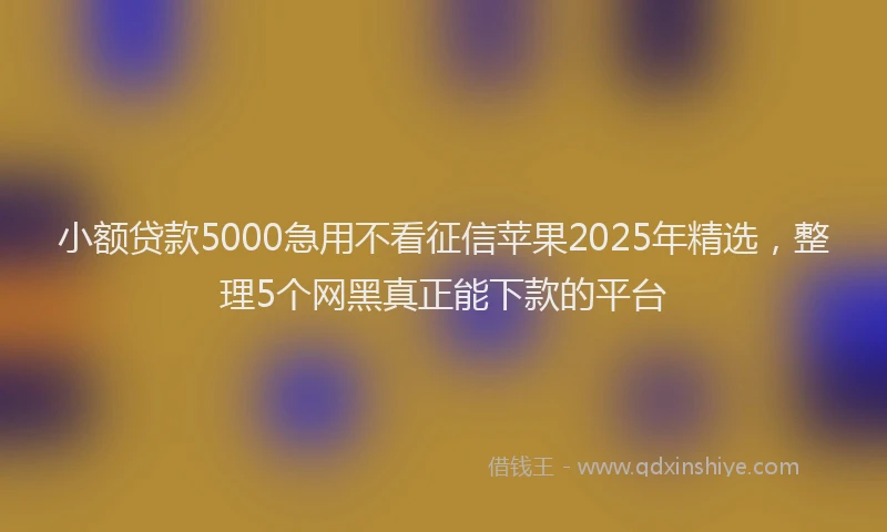 小额贷款5000急用不看征信苹果2025年精选，整理5个网黑真正能下款的平台