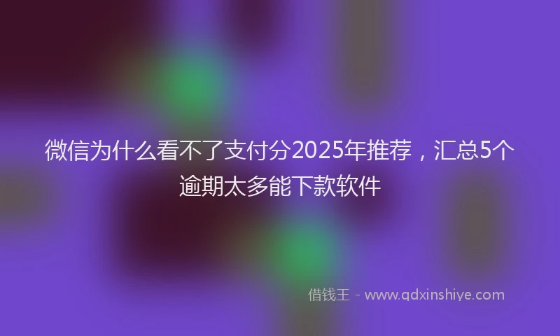 微信为什么看不了支付分2025年推荐，汇总5个逾期太多能下款软件