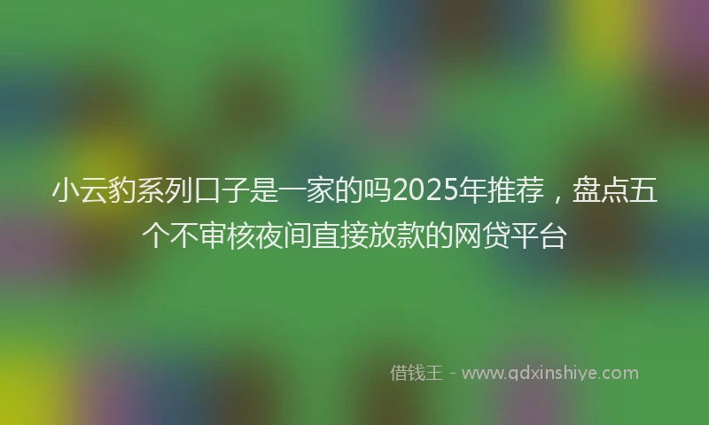 小云豹系列口子是一家的吗2025年推荐，盘点五个不审核夜间直接放款的网贷平台