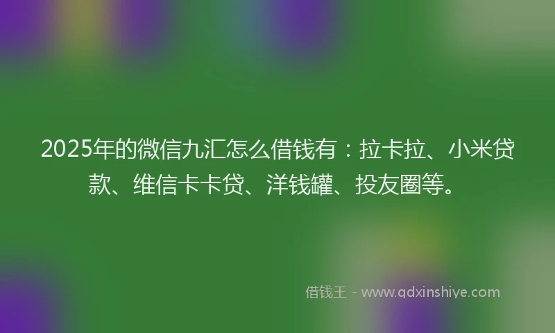2025年的微信九汇怎么借钱有：拉卡拉、小米贷款、维信卡卡贷、洋钱罐、投友圈等。