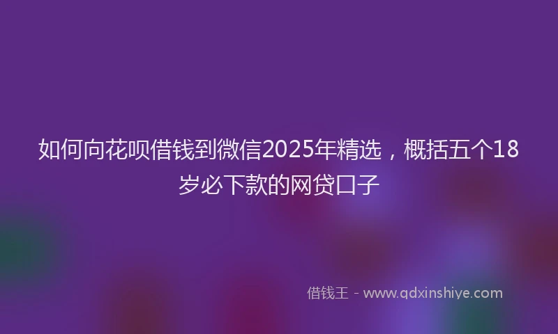 如何向花呗借钱到微信2025年精选，概括五个18岁必下款的网贷口子