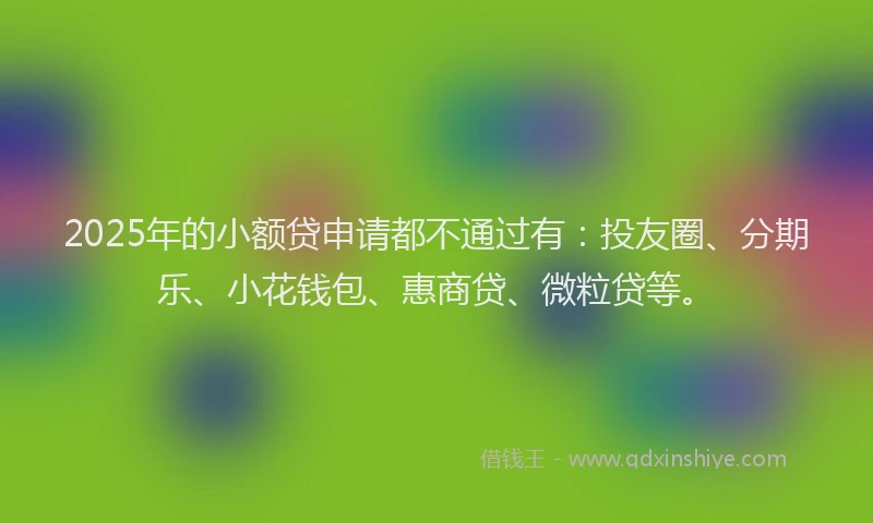 2025年的小额贷申请都不通过有：投友圈、分期乐、小花钱包、惠商贷、微粒贷等。