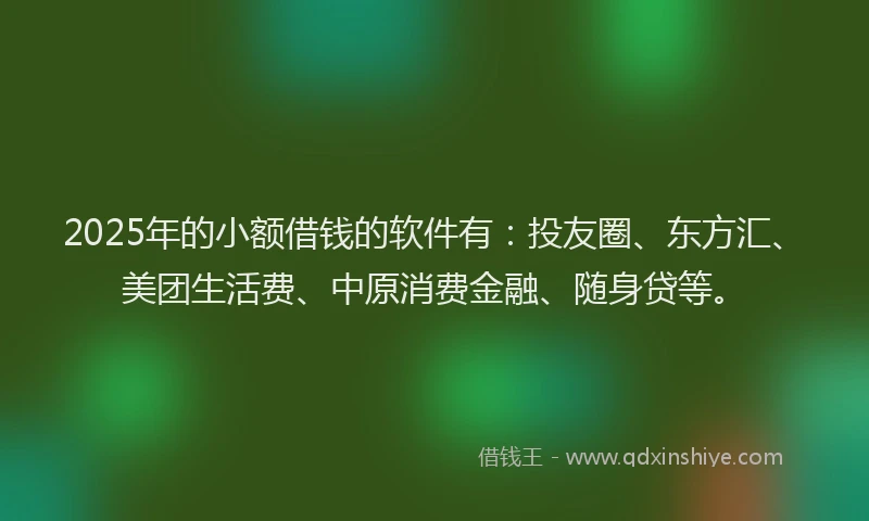2025年的小额借钱的软件有：投友圈、东方汇、美团生活费、中原消费金融、随身贷等。