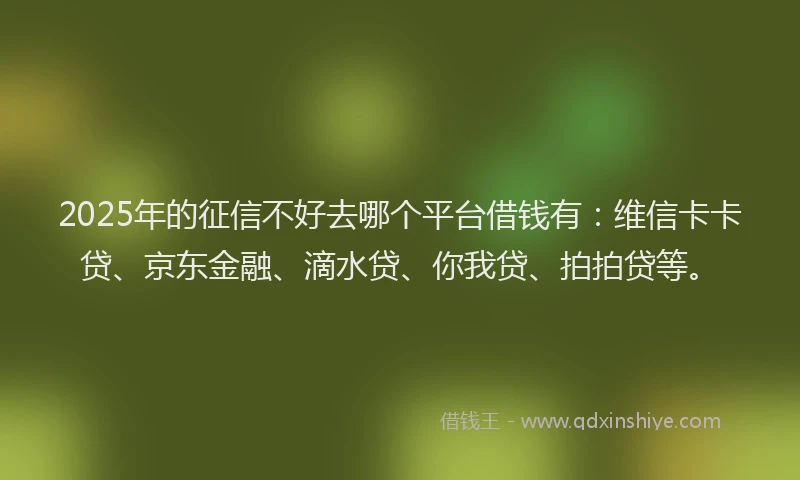 2025年的征信不好去哪个平台借钱有：维信卡卡贷、京东金融、滴水贷、你我贷、拍拍贷等。