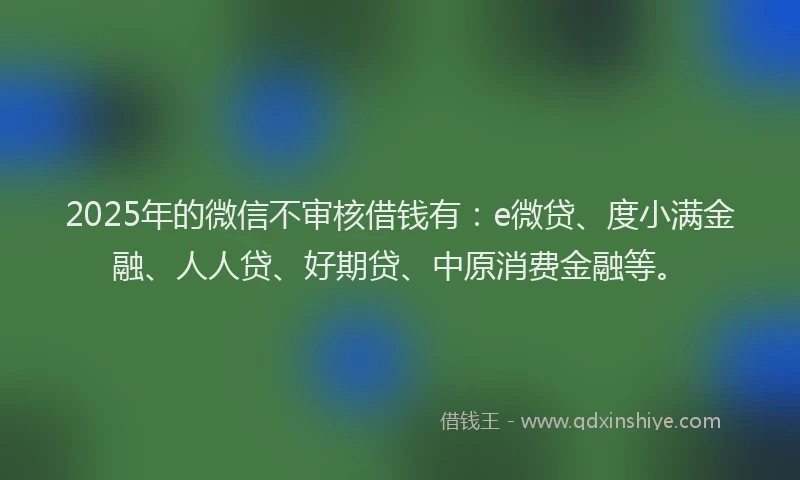 2025年的微信不审核借钱有：e微贷、度小满金融、人人贷、好期贷、中原消费金融等。