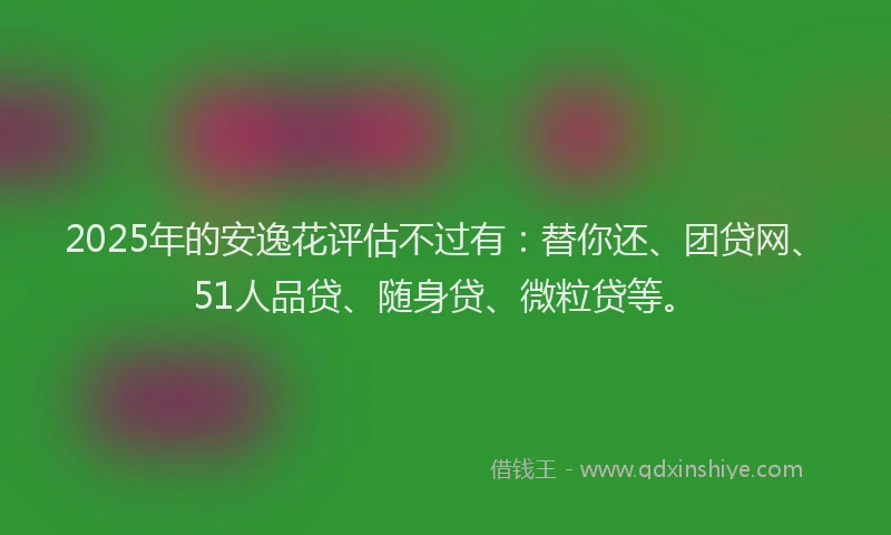 2025年的安逸花评估不过有：替你还、团贷网、51人品贷、随身贷、微粒贷等。