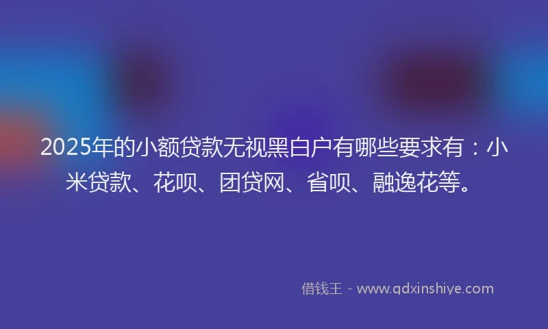 2025年的小额贷款无视黑白户有哪些要求有：小米贷款、花呗、团贷网、省呗、融逸花等。