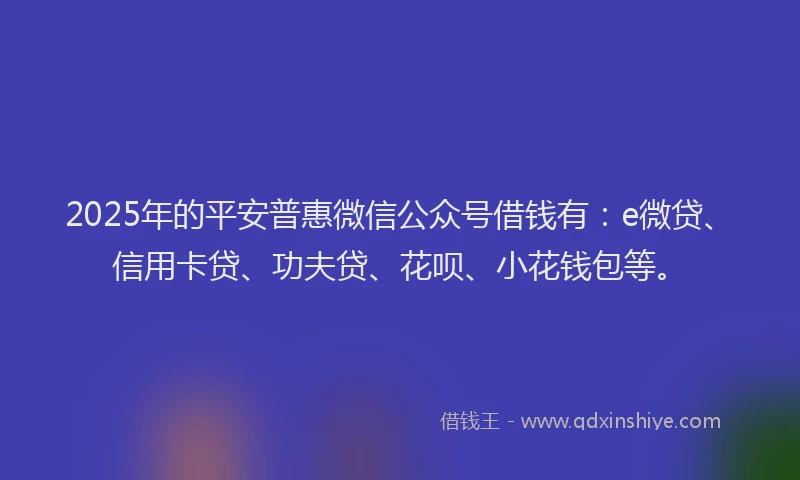 2025年的平安普惠微信公众号借钱有：e微贷、信用卡贷、功夫贷、花呗、小花钱包等。