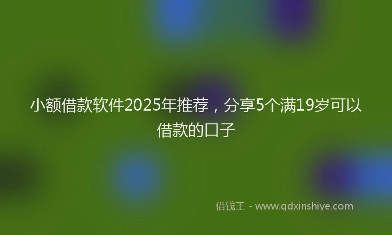 小额借款软件2025年推荐，分享5个满19岁可以借款的口子