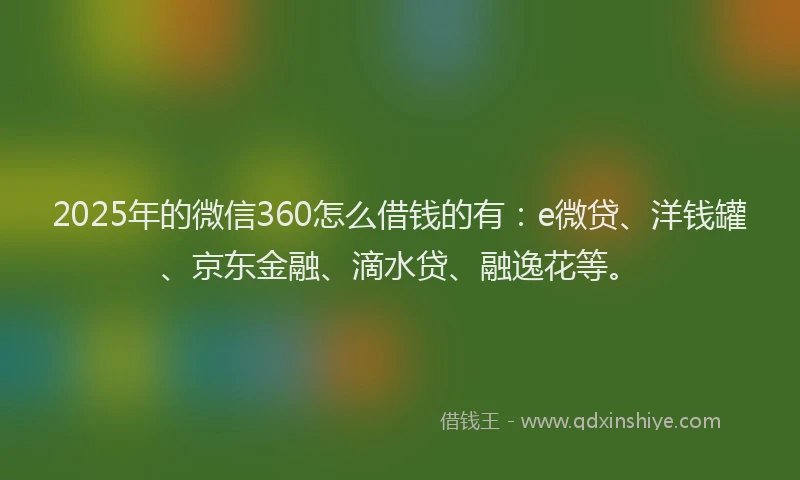 2025年的微信360怎么借钱的有：e微贷、洋钱罐、京东金融、滴水贷、融逸花等。