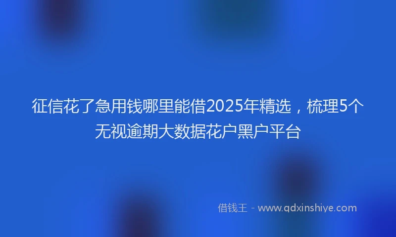 征信花了急用钱哪里能借2025年精选，梳理5个无视逾期大数据花户黑户平台
