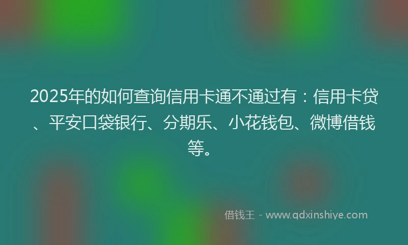 2025年的如何查询信用卡通不通过有：信用卡贷、平安口袋银行、分期乐、小花钱包、微博借钱等。