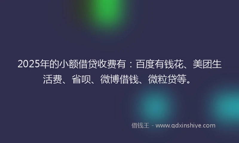 2025年的小额借贷收费有：百度有钱花、美团生活费、省呗、微博借钱、微粒贷等。