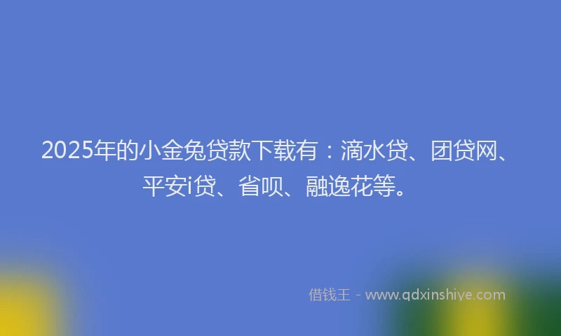 2025年的小金兔贷款下载有：滴水贷、团贷网、平安i贷、省呗、融逸花等。
