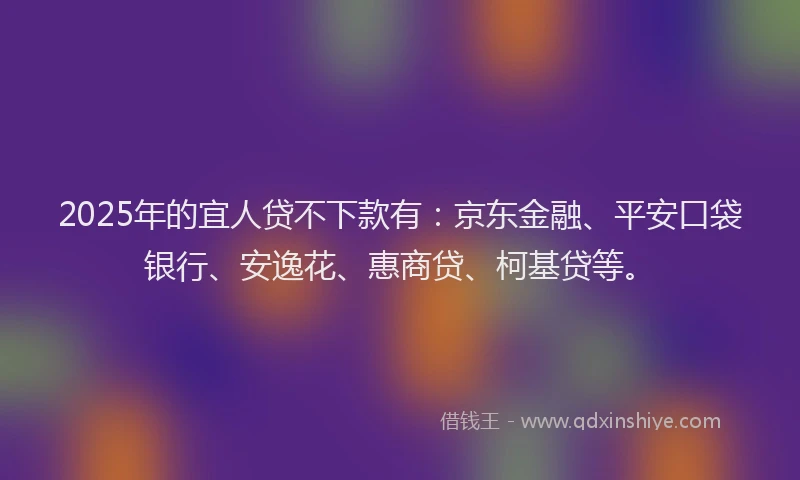 2025年的宜人贷不下款有：京东金融、平安口袋银行、安逸花、惠商贷、柯基贷等。