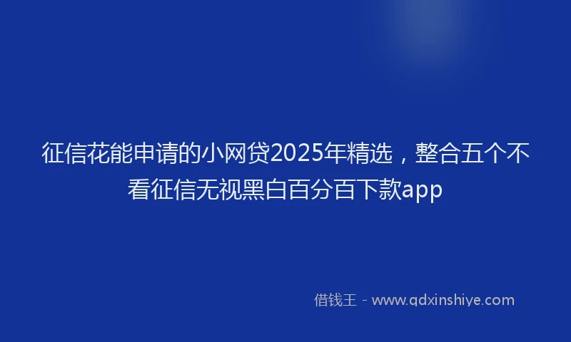 征信花能申请的小网贷2025年精选，整合五个不看征信无视黑白百分百下款app