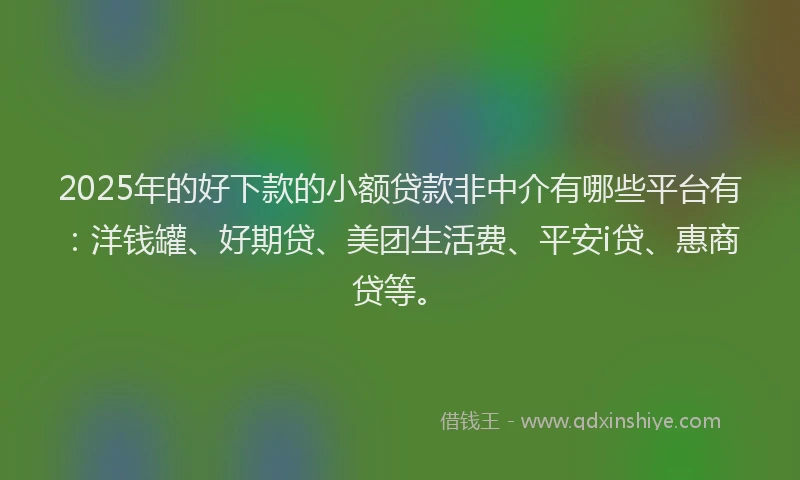 2025年的好下款的小额贷款非中介有哪些平台有：洋钱罐、好期贷、美团生活费、平安i贷、惠商贷等。