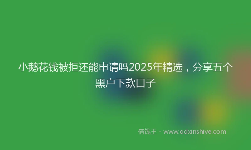 小鹅花钱被拒还能申请吗2025年精选，分享五个黑户下款口子