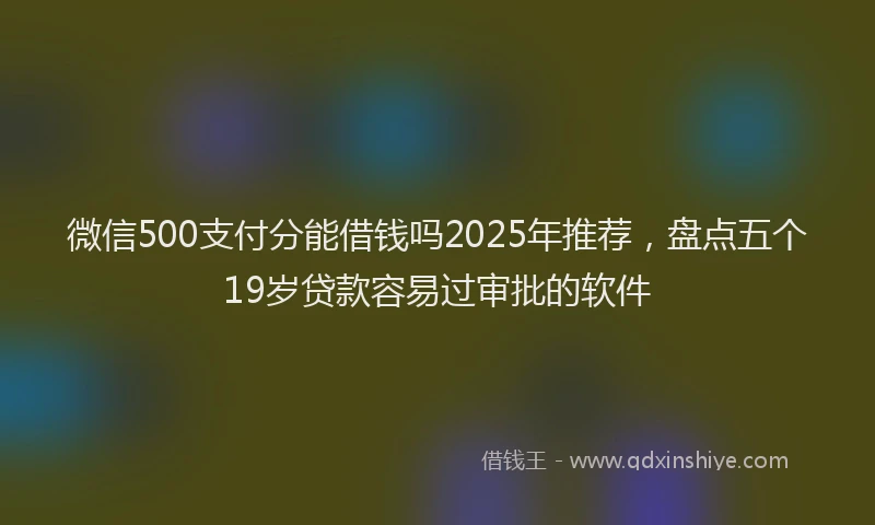 微信500支付分能借钱吗2025年推荐，盘点五个19岁贷款容易过审批的软件