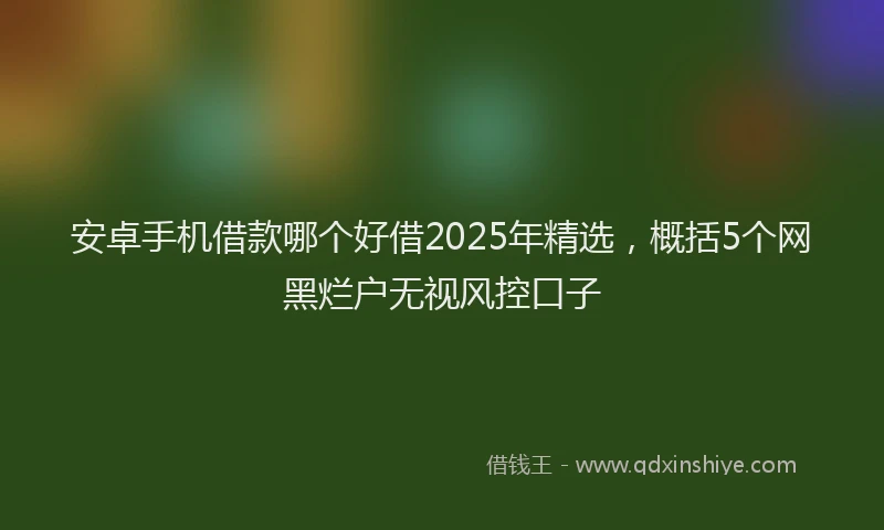 安卓手机借款哪个好借2025年精选，概括5个网黑烂户无视风控口子