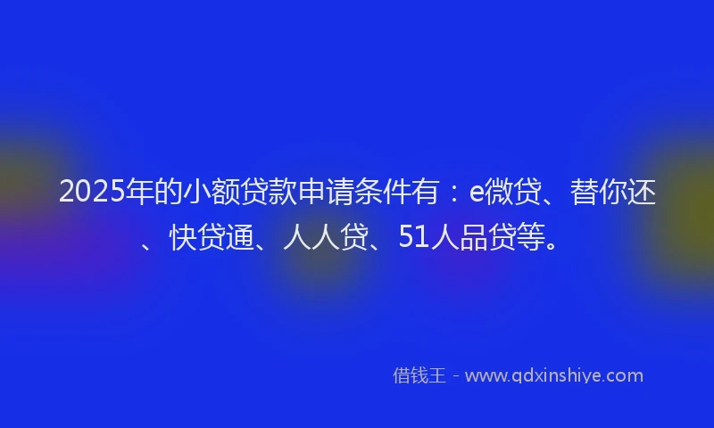 2025年的小额贷款申请条件有：e微贷、替你还、快贷通、人人贷、51人品贷等。