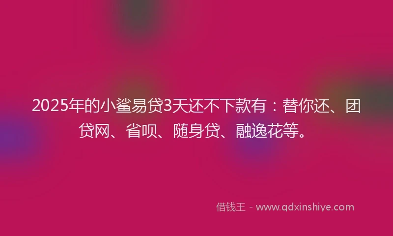 2025年的小鲨易贷3天还不下款有：替你还、团贷网、省呗、随身贷、融逸花等。