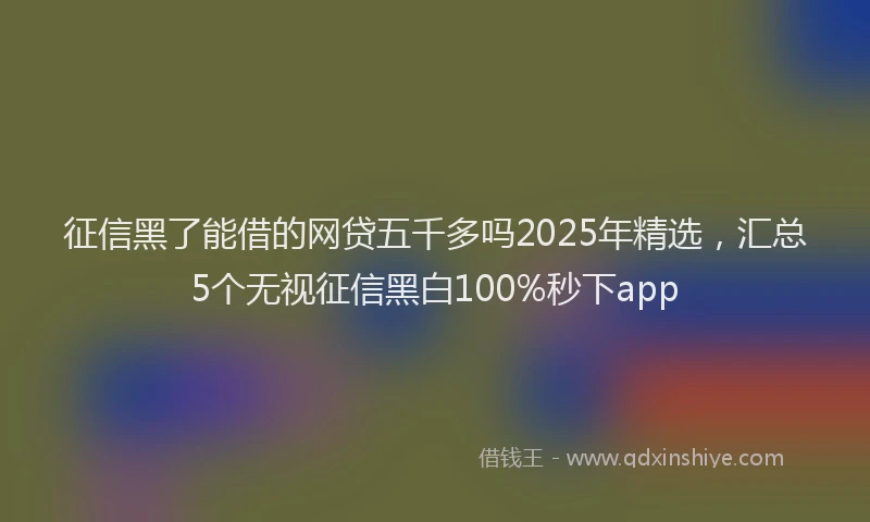 征信黑了能借的网贷五千多吗2025年精选，汇总5个无视征信黑白100%秒下app