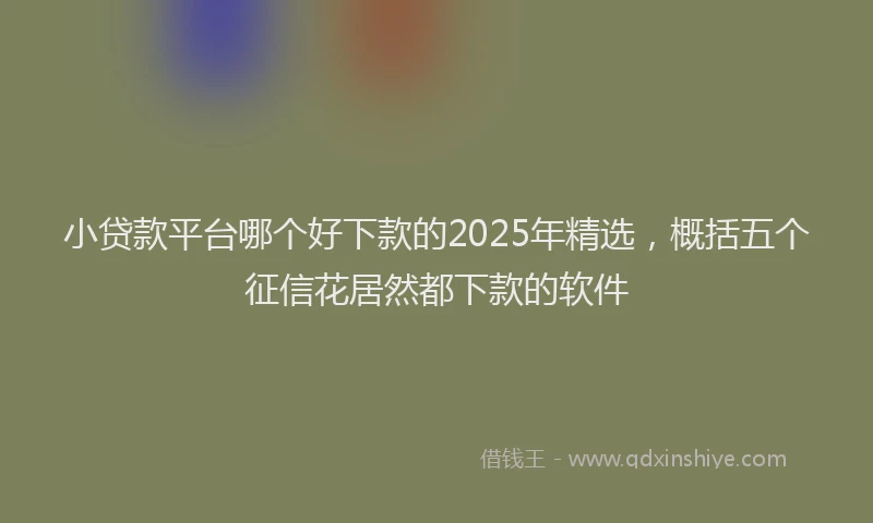 小贷款平台哪个好下款的2025年精选，概括五个征信花居然都下款的软件