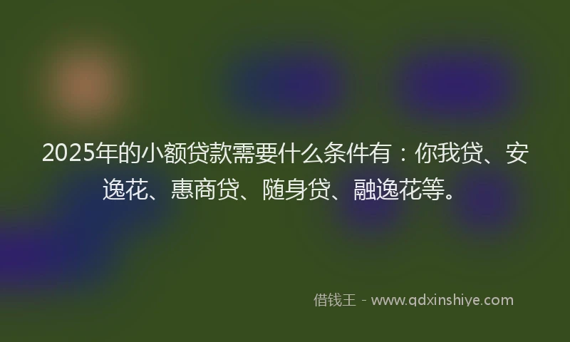 2025年的小额贷款需要什么条件有：你我贷、安逸花、惠商贷、随身贷、融逸花等。
