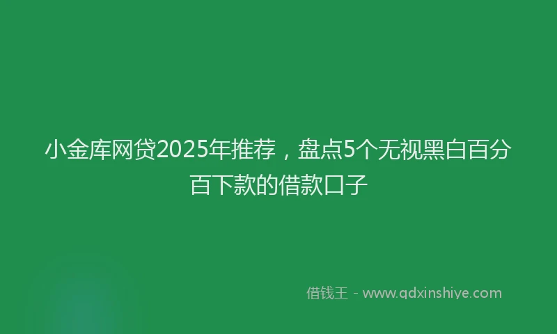 小金库网贷2025年推荐，盘点5个无视黑白百分百下款的借款口子