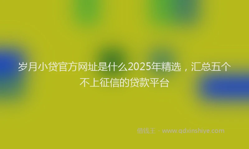 岁月小贷官方网址是什么2025年精选，汇总五个不上征信的贷款平台