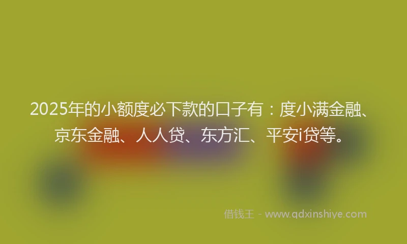 2025年的小额度必下款的口子有：度小满金融、京东金融、人人贷、东方汇、平安i贷等。