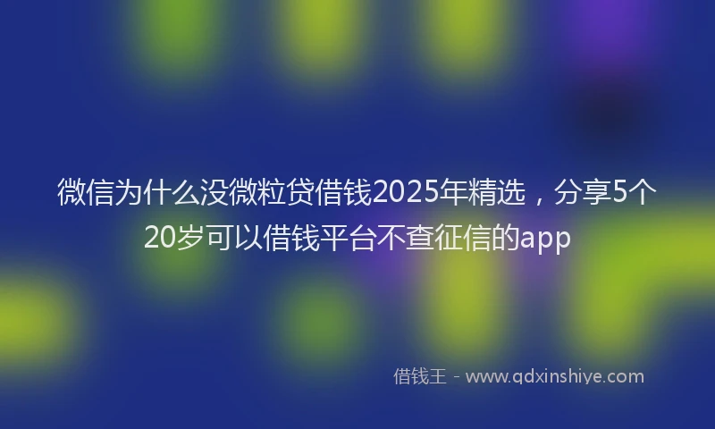 微信为什么没微粒贷借钱2025年精选，分享5个20岁可以借钱平台不查征信的app