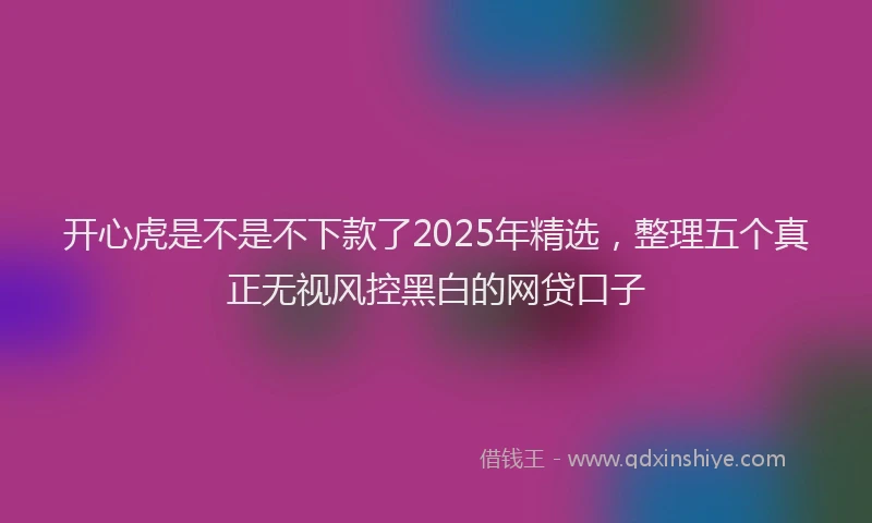 开心虎是不是不下款了2025年精选，整理五个真正无视风控黑白的网贷口子