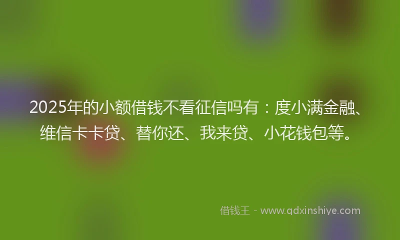 2025年的小额借钱不看征信吗有：度小满金融、维信卡卡贷、替你还、我来贷、小花钱包等。