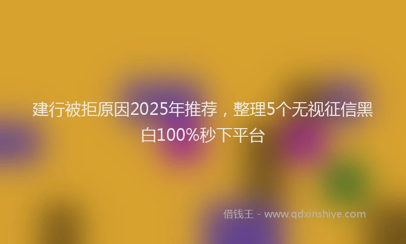 建行被拒原因2025年推荐，整理5个无视征信黑白100%秒下平台