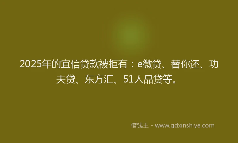 2025年的宜信贷款被拒有：e微贷、替你还、功夫贷、东方汇、51人品贷等。