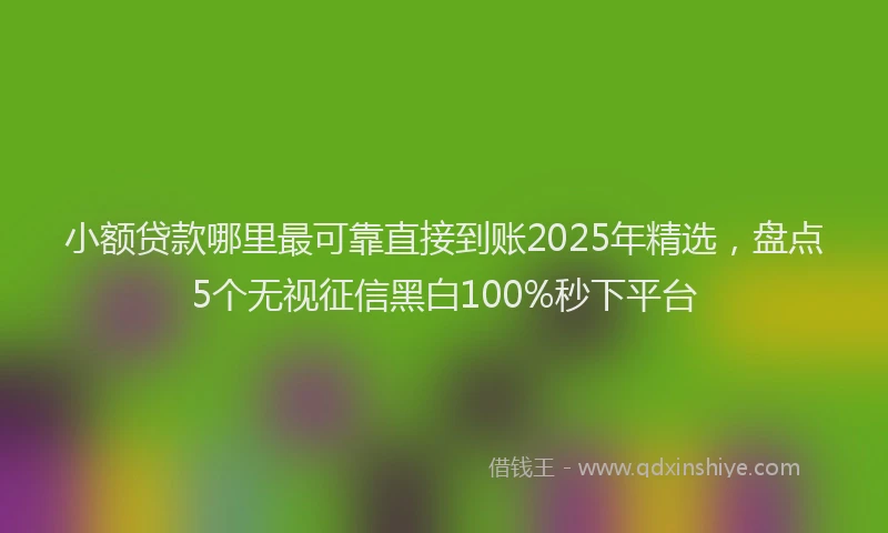 小额贷款哪里最可靠直接到账2025年精选，盘点5个无视征信黑白100%秒下平台