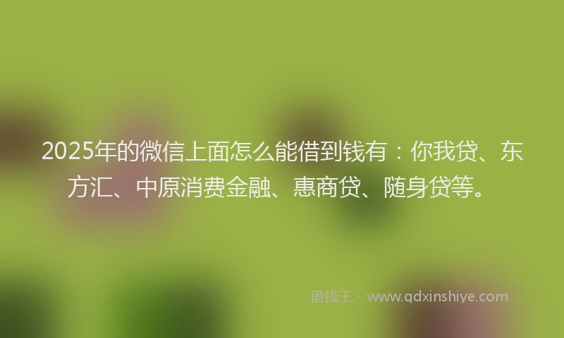 2025年的微信上面怎么能借到钱有：你我贷、东方汇、中原消费金融、惠商贷、随身贷等。
