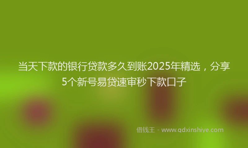 当天下款的银行贷款多久到账2025年精选，分享5个新号易贷速审秒下款口子