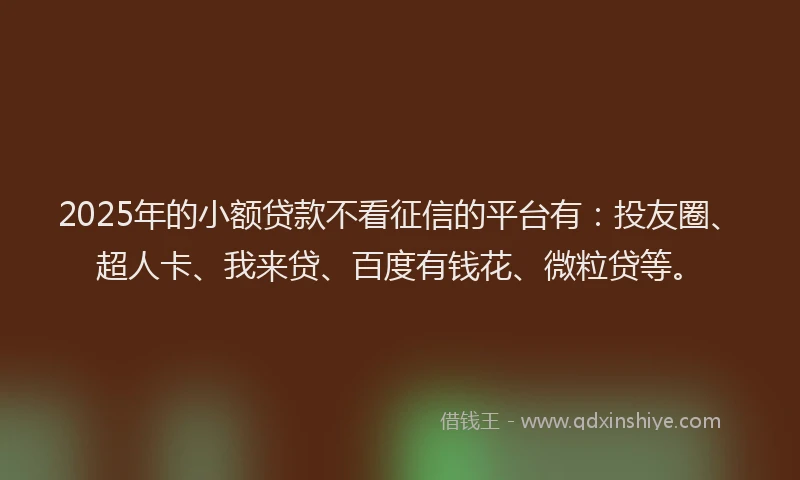 2025年的小额贷款不看征信的平台有：投友圈、超人卡、我来贷、百度有钱花、微粒贷等。