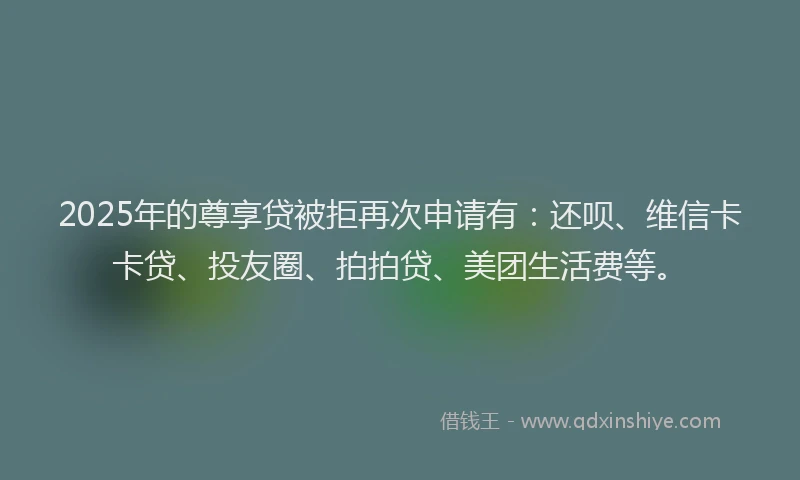 2025年的尊享贷被拒再次申请有：还呗、维信卡卡贷、投友圈、拍拍贷、美团生活费等。