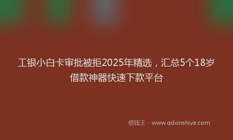 工银小白卡审批被拒2025年精选，汇总5个18岁借款神器快速下款平台